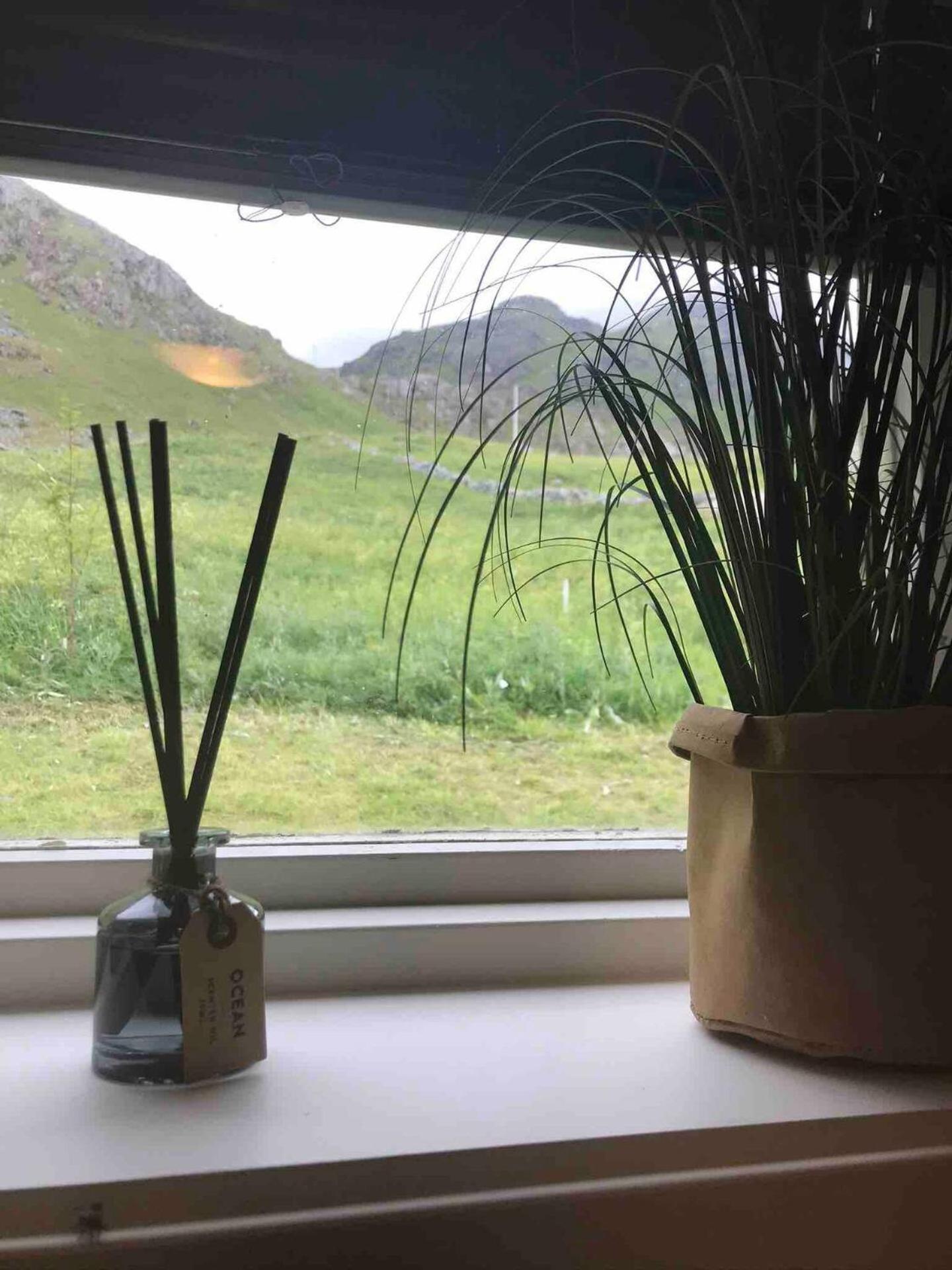 Haukland Beach House 莱克内斯 外观 照片